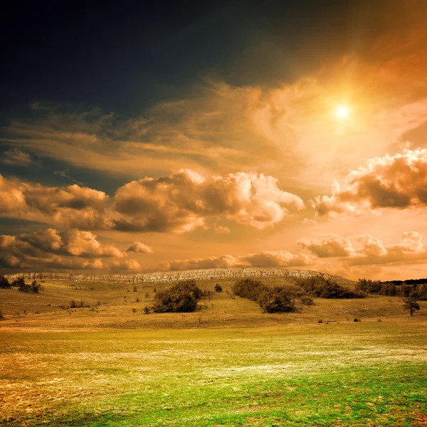 Erba verde sul campo — Foto Stock