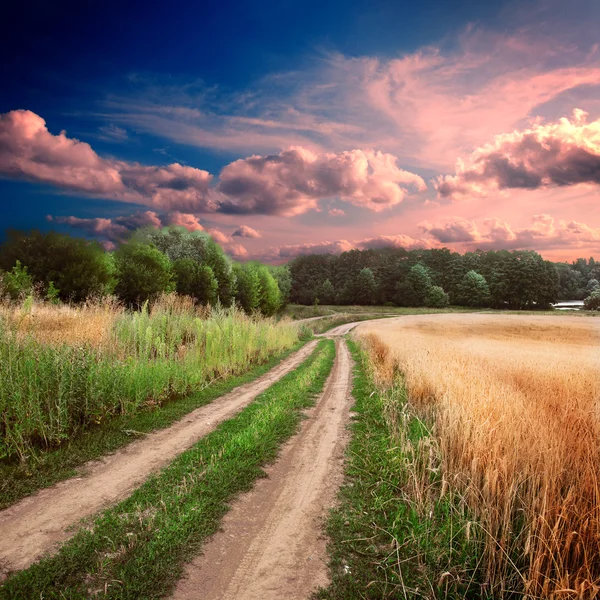 Estrada de terra nos campos — Fotografia de Stock