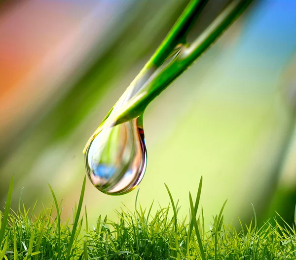 Waterdruppel op de groene achtergrond — Stockfoto