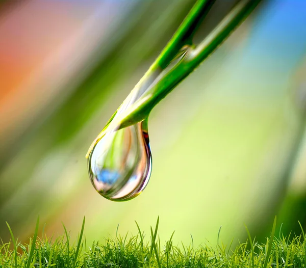 Gota de agua sobre el fondo verde — Foto de Stock