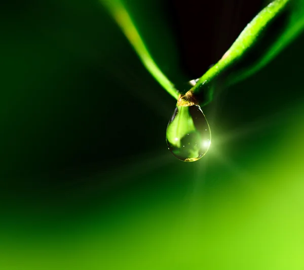 Waterdruppel op de groene achtergrond — Stockfoto