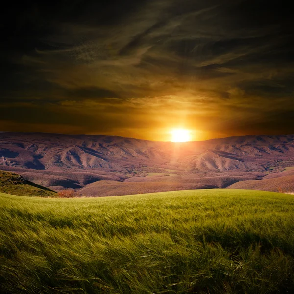 summer field with mountians