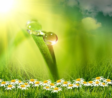 Yeşil arkaplanda su damlası