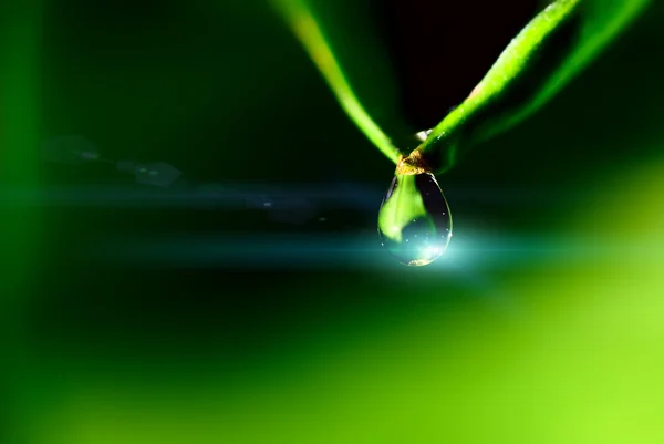 Kropla wody na zielonym tle — Zdjęcie stockowe