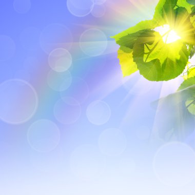 Yeşil Yaz doğa arka plan