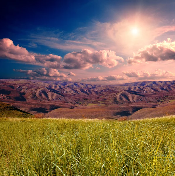 Gröna sommaren natur bakgrund — Stockfoto