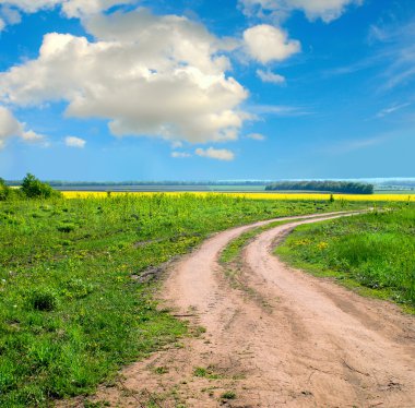 grond weg in de zomer veld