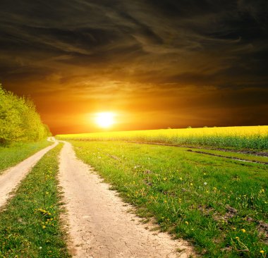 grond weg in de zomer veld