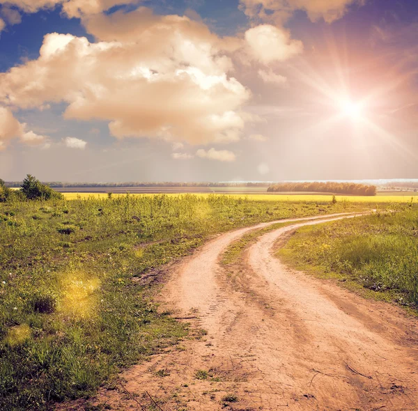 Marken road i fältet sommaren — Stockfoto