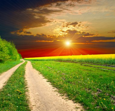 grond weg in de zomer veld