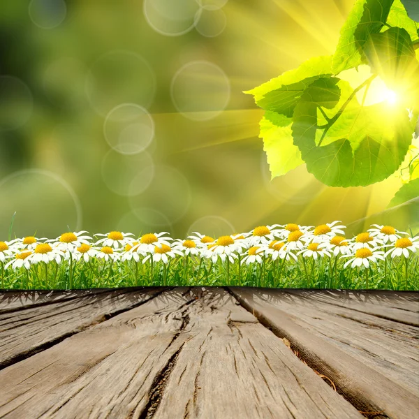 Wooden table on the nature backgroung — Stock Photo, Image