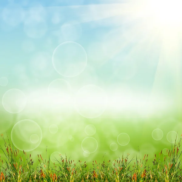 Green grass with the sky — Stock Photo, Image