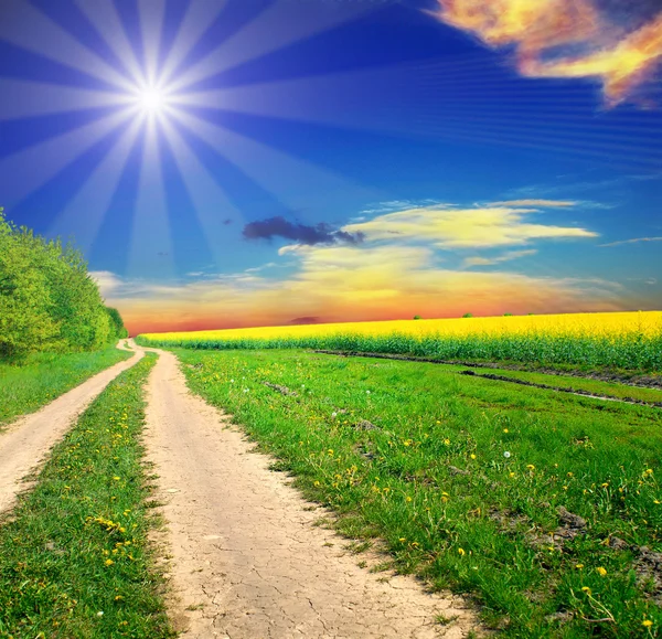 Camino de tierra en el campo de verano — Foto de Stock