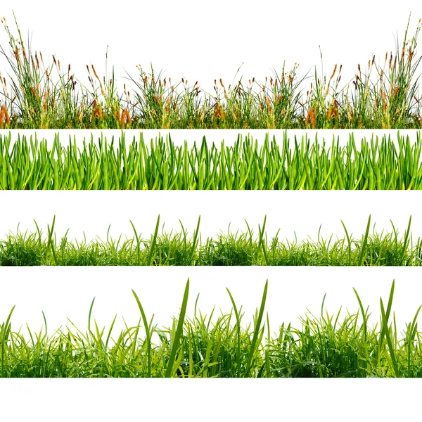 Hintergrund der grünen Natur lizenzfreie Stockbilder