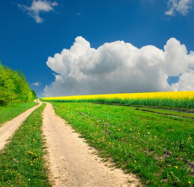 grond weg in de zomer veld