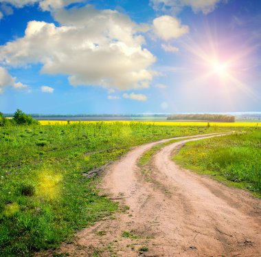 grond weg in de zomer veld