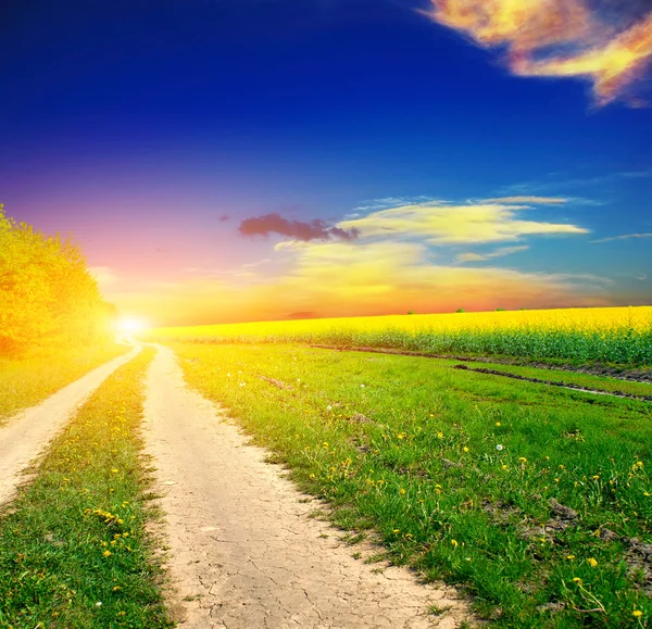 Strada di terra nel campo estivo — Foto Stock