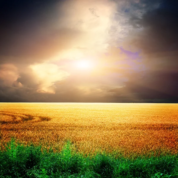 Paisaje de verano con el cielo — Foto de Stock