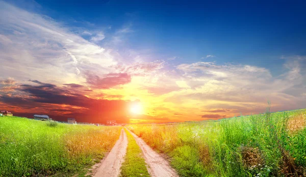 Strada di terra nel campo estivo — Foto Stock