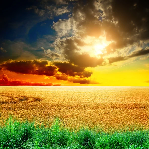 Krajobraz lato z nieba — Zdjęcie stockowe