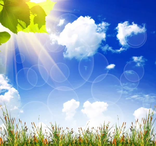 Zielona trawa z nieba — Zdjęcie stockowe