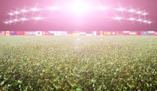 Soccer stadium with flags and lights — Stock Photo, Image