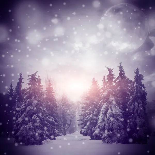 Schöne Winterlandschaft mit Weihnachtsbäumen — Stockfoto