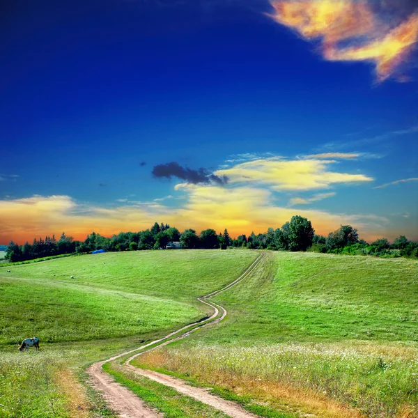 Road lane and green fields