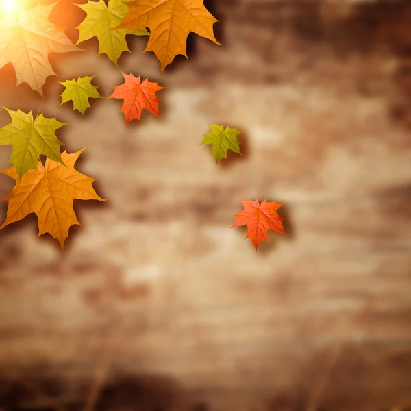 Wooden background with the leafs — Stock Photo, Image