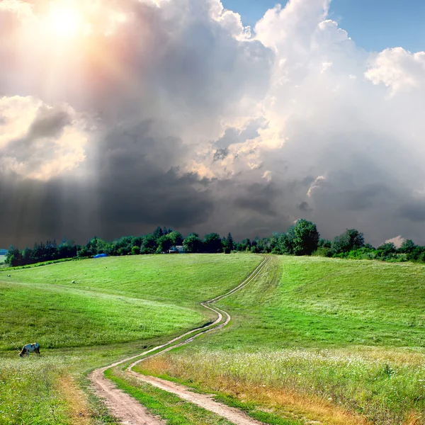 Road lane and green fields