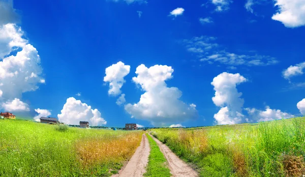 Camino de tierra en el campo de verano — Foto de Stock