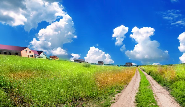 Camino de tierra en el campo de verano — Foto de Stock