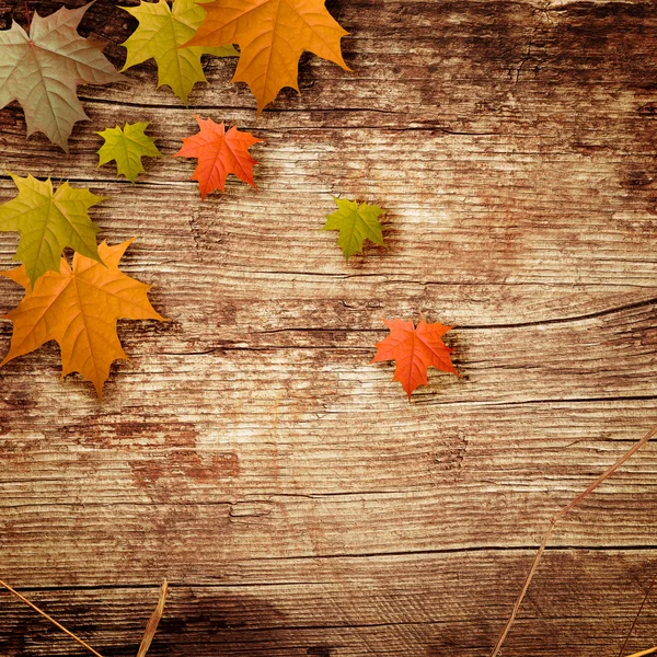 Fond en bois avec les feuilles — Photo