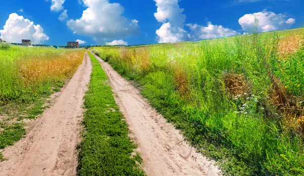 Грунтовая дорога в летнем поле — стоковое фото