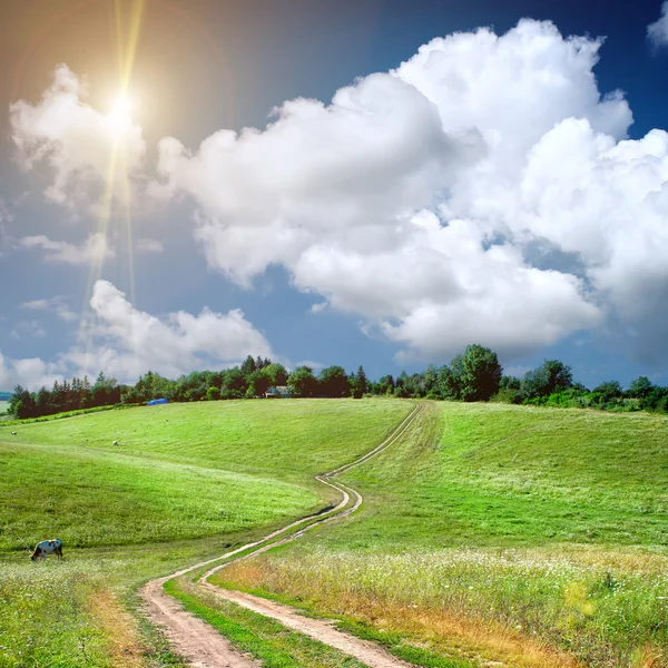 Road lane and green fields — Stock Photo, Image