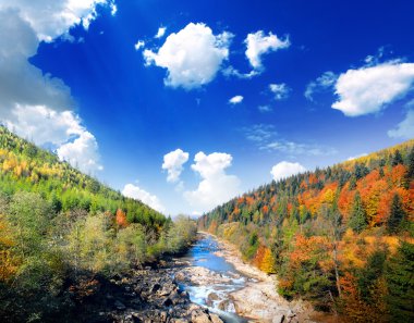 sonbahar manzarası ile dağ Nehri