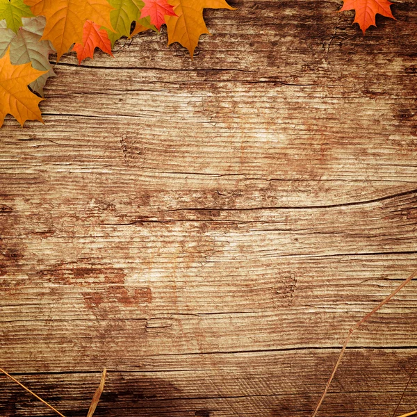 Sfondo in legno con le foglie — Foto Stock