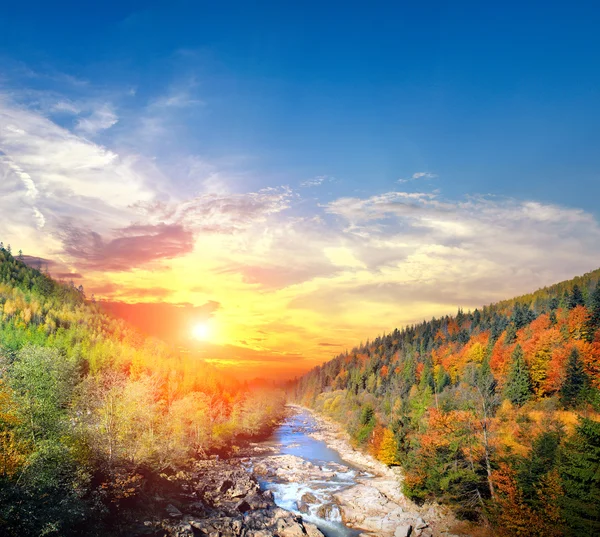 Autumn landscape with the mountian river — Stock Photo, Image