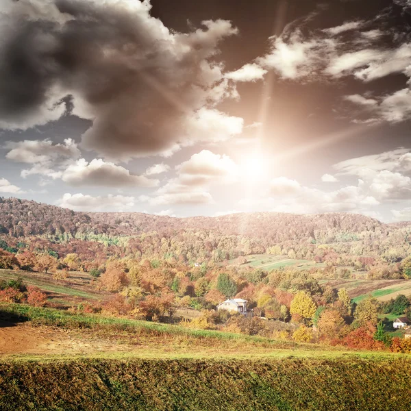 Bautiful yellow autumn Landscape with forest — Stock Photo, Image