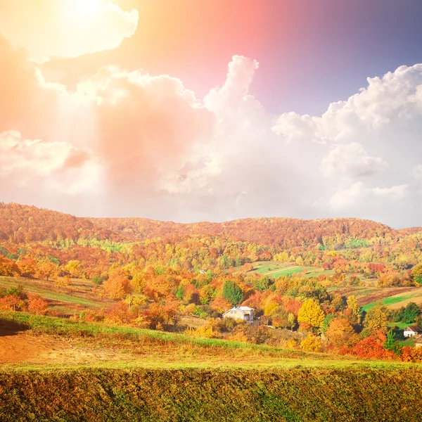 Bautiful yellow autumn Landscape with forest — Stock Photo, Image