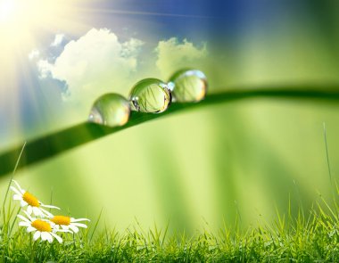 sabah doğa arka plan