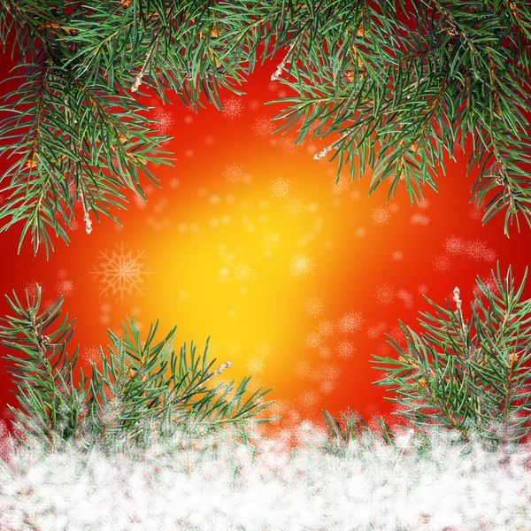 Christmas tree — Stock Photo, Image