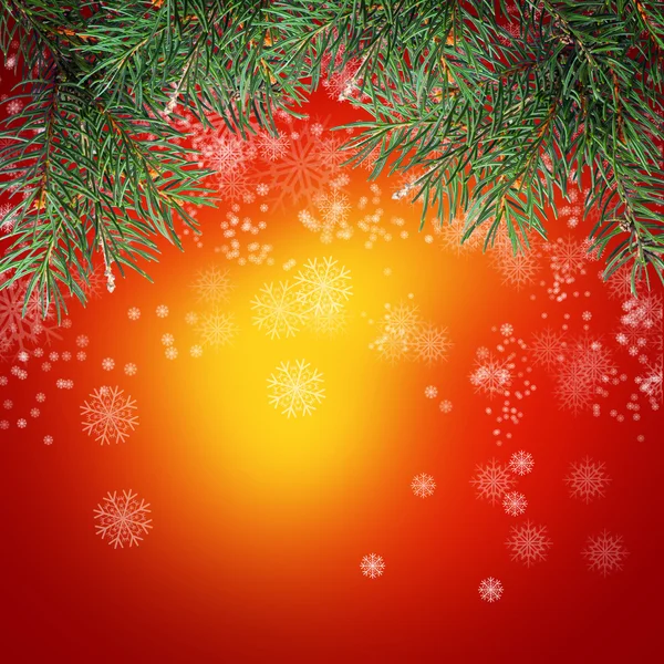 Christmas tree — Stock Photo, Image