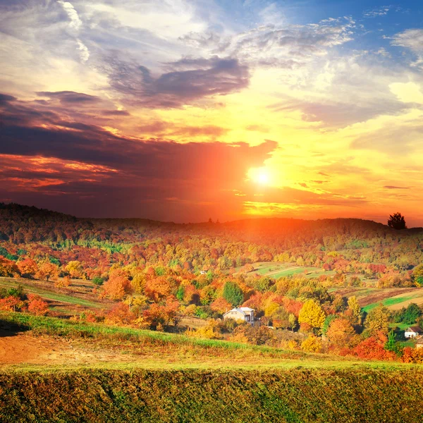 Landscape with forest — Stock Photo, Image