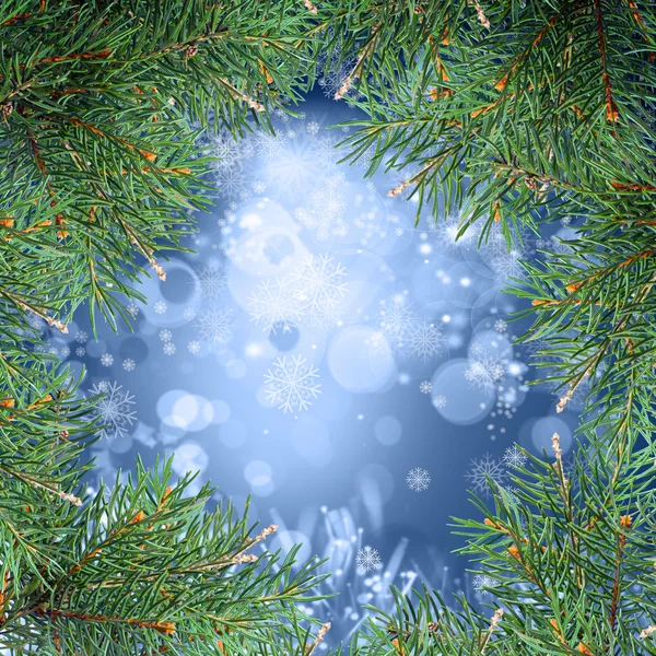 Christmas tree — Stock Photo, Image