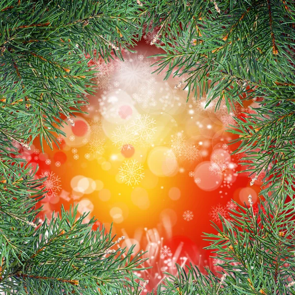 Weihnachtsbaum — Stockfoto