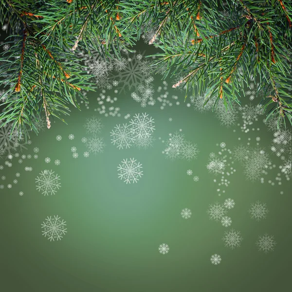 Decorated Christmas tree — Stock Photo, Image