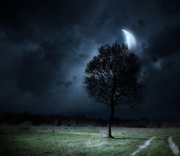 Landscape showing tree against night sky