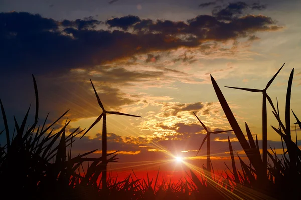 Windkrachtcentrale — Stockfoto