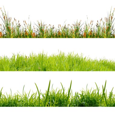 green nature background clipart